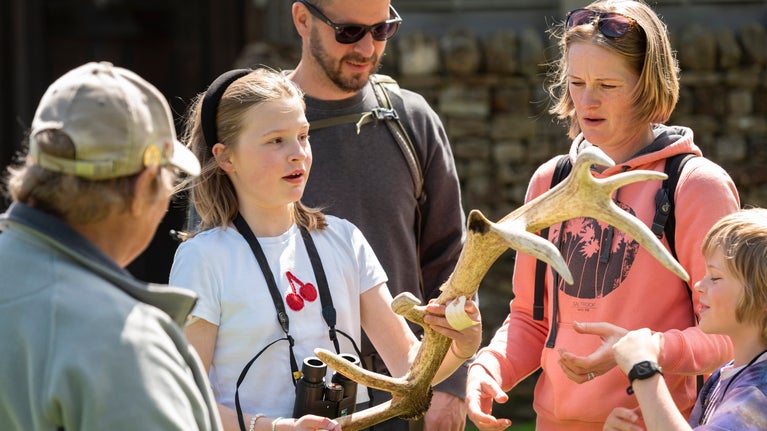 A small group of people stand outdoors examining a large deer antler. One child holds the antler while the others gather around to look closely.